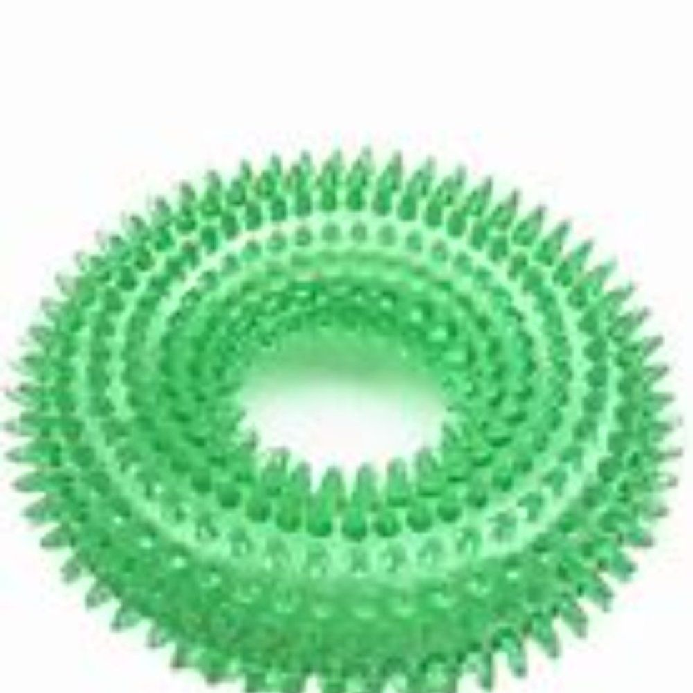 Green Squeaky Ring Toy/  Pet Teeth Cleaning - Picture 2 of 4